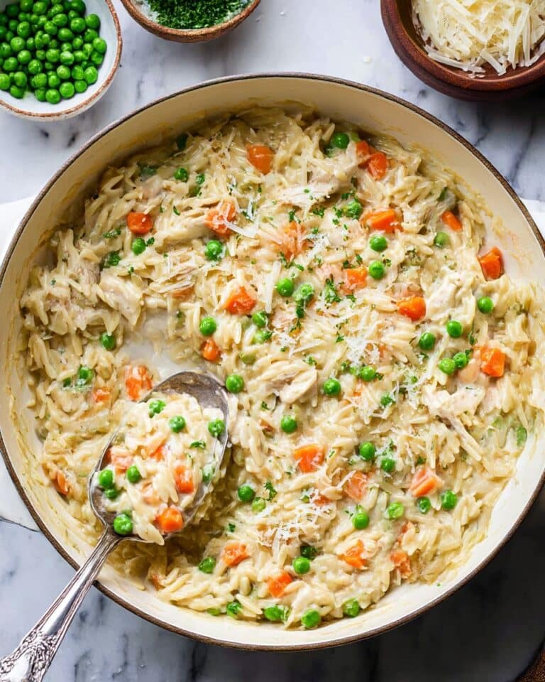 Cozy Chicken Pot Pie Orzo Recipe